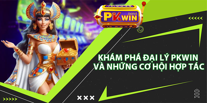 Khám Phá Đại Lý Pkwin Và Những Cơ Hội Hợp Tác